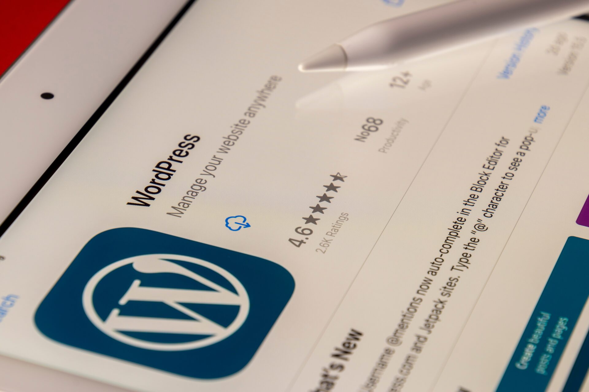 How to Start a Blog Using WordPress